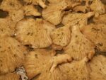 Setas asadas con vinagreta