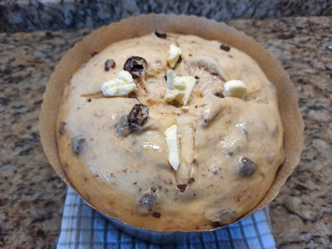 panettone de pasas y chocolate