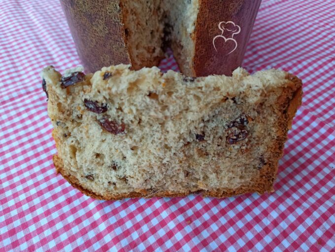 panettone de pasas y chocolate