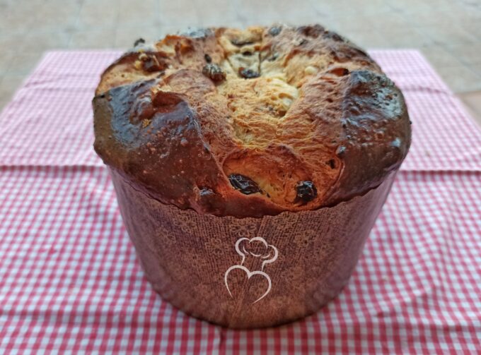 Panettone de pasas y chocolate